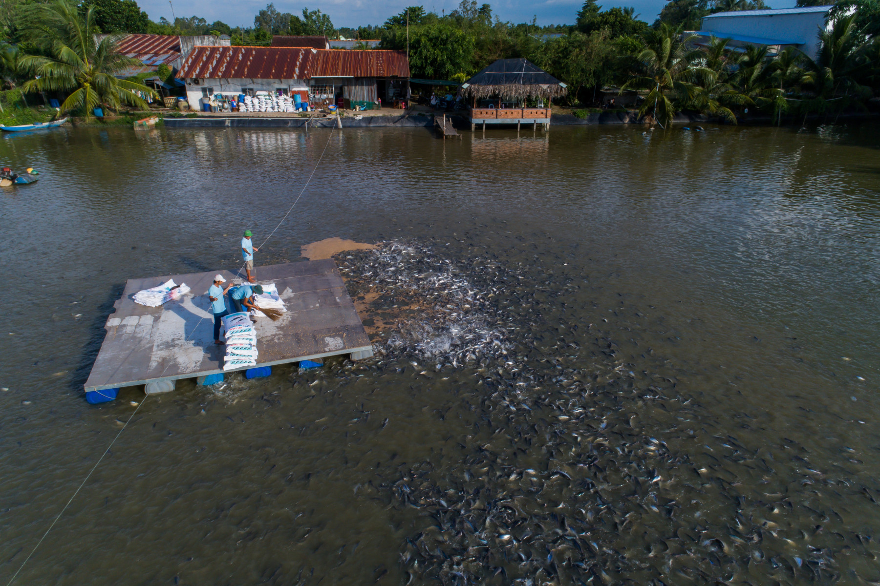 GIẤY CHỨNG NHẬN CƠ SỞ ĐỦ ĐIỀU KIỆN AN TOÀN THỰC PHẨM ĐỂ NUÔI TRỒNG THỦY SẢN