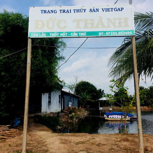 Giới thiệu Minh Đức Thành