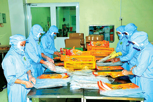 Hoạt động chế biến thủy sản tại Công ty CP thực phẩm Phạm Nghĩa.